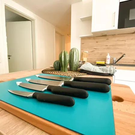 310 Lux Furnished Flat